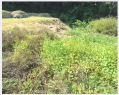  2024Ÿ��85238 ��� ȭ���� ���Ÿ� ��� 423      ����(��)���