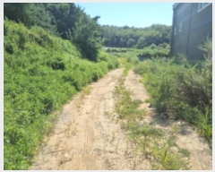  2024Ÿ��85238 ��� ȭ���� ���Ÿ� ��� 423      ����(��)���