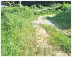  2024Ÿ��85238  �����