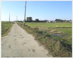  2024Ÿ��86941 ��� ȭ���� ������ ���� 1136-3      ����(��)���