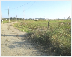  2024Ÿ��86941 ��� ȭ���� ������ ���� 1136-3      ����(��)���