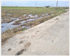  2024Ÿ��86941 ��� ȭ���� ������ ���� 1136-3      ����(��)���