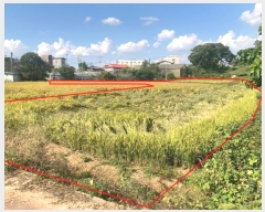  2024Ÿ87371  ȭ  ȸ 260-1      ()