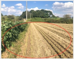  2024Ÿ87371  ȭ  ȸ 260-1      ()