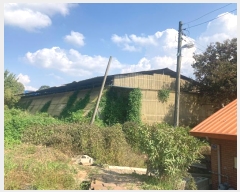  2024Ÿ87371  ȭ  ȸ 260-1      ()