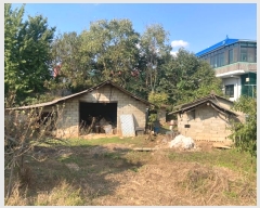  2024Ÿ87371  ȭ  ȸ 260-1      ()