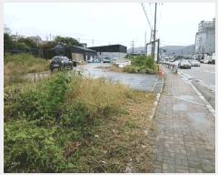  2024Ÿ��101369 ��� ���ν� ó�α� ������ ������ 498     ����,â�����