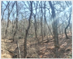  2024Ÿ��103433 ��� ���ν� ���ﱸ ������ ��139-3      ����(�Ӿ�)���