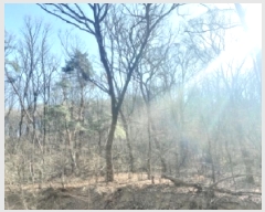  2024Ÿ��103433 ��� ���ν� ���ﱸ ������ ��139-3      ����(�Ӿ�)���