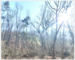  2024Ÿ��103433 ��� ���ν� ���ﱸ ������ ��139-3      ����(�Ӿ�)���