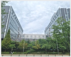  2024Ÿ��8965 ��� ���ν� ���ﱸ ��õ��201���� 14, 1����192ȣ (�󼭵�,�����̾�����ĳ�����Ｍõ)    ��,�繫�ǰ��