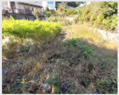  2024Ÿ11473  ν  õ 135-55      (Ӿ)