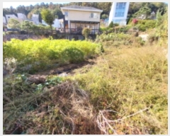  2024Ÿ11473  ν  õ 135-55      (Ӿ)