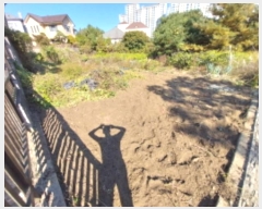  2024Ÿ11473  ν  õ 135-55      (Ӿ)