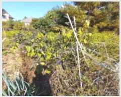  2024Ÿ11473  ν  õ 135-55      (Ӿ)