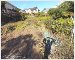  2024Ÿ11473  ν  õ 135-55      (Ӿ)