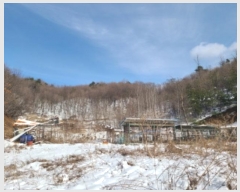  2024Ÿ55190  ν óα ̵ õ 487-1     (1)