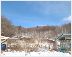  2024Ÿ55190  ν óα ̵ õ 487-1     (1)