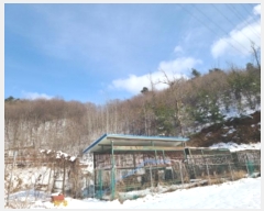  2024Ÿ55190  ν óα ̵ õ 487-1     (1)