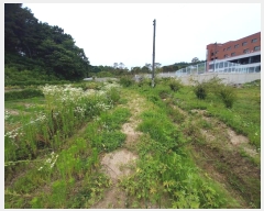  2024Ÿ��74535 ��� ����� �ΰ 13       ����(��)���