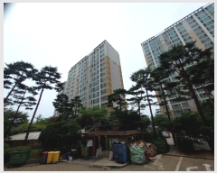  2024Ÿ��74535 ��� ����� �ΰ 13       ����(��)���