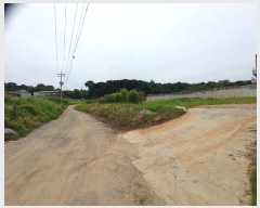  2024Ÿ��74535 ��� ����� �ΰ 13       ����(��)���