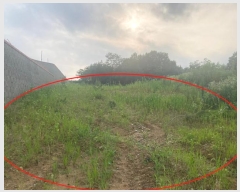  2024Ÿ76456   嵿 296-2       (Ӿ)