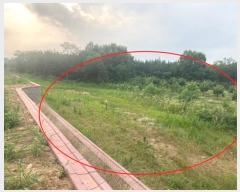  2024Ÿ76456   嵿 296-2       (Ӿ)