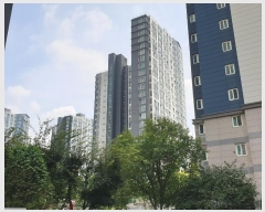  2024Ÿ81786  ȭ źȯ22 14, 1227 252502ȣ (û赿,źĭŸ)    Ʈ