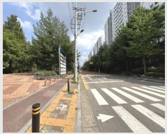  2024Ÿ85764  ȭ 27 53, 207 161604ȣ (ݿ,ſŸ)    Ʈ