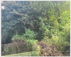  2024Ÿ87005  ν óα 浿 112-4      (Ӿ)