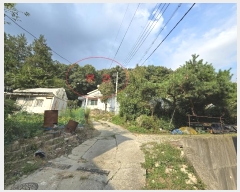  2024Ÿ��88862 ��� ���ν� ó�α� ���浿 ��37-1      ����(�Ӿ�)���