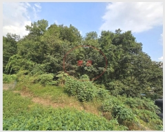  2024Ÿ��88862 ��� ���ν� ó�α� ���浿 ��37-1      ����(�Ӿ�)���