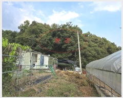  2024Ÿ��88862 ��� ���ν� ó�α� ���浿 ��37-1      ����(�Ӿ�)���