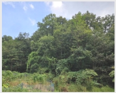  2024Ÿ��88862 ��� ���ν� ó�α� ���浿 ��37-1      ����(�Ӿ�)���