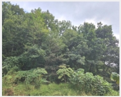  2024Ÿ��88862 ��� ���ν� ó�α� ���浿 ��37-1      ����(�Ӿ�)���