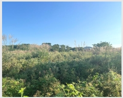  2024Ÿ��89063 ��� ȭ���� ���Ÿ� ���� 539-4      ����(�Ӿ�)���