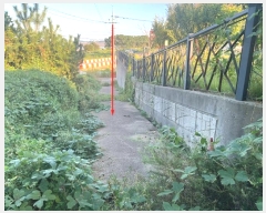  2024Ÿ��89063 ��� ȭ���� ���Ÿ� ���� 539-4      ����(�Ӿ�)���