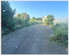  2024Ÿ��89063 ��� ȭ���� ���Ÿ� ���� 539-4      ����(�Ӿ�)���