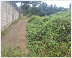  2024Ÿ��89063 ��� ȭ���� ���Ÿ� ���� 539-4      ����(�Ӿ�)���