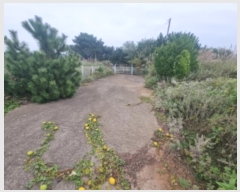  2024Ÿ��89063 ��� ȭ���� ���Ÿ� ���� 539-4      ����(�Ӿ�)���