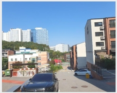  2024Ÿ91646  ν ﱸ  1246-5      ()