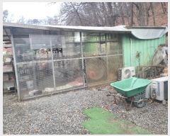  2024Ÿ��104115 ��� ȭ���� ������ ��õ�� 320      ���(�󰡽ü�)���