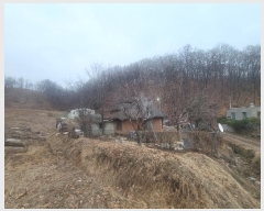  2024Ÿ��104115 ��� ȭ���� ������ ��õ�� 320      ���(�󰡽ü�)���