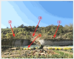  2024Ÿ��11480  �Ӿ߰��