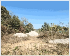  2024Ÿ��11480  �Ӿ߰��