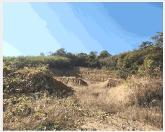  2024Ÿ��11480  �Ӿ߰��