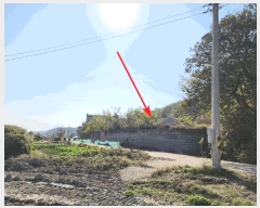  2024Ÿ��11480  �Ӿ߰��