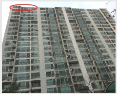  2024Ÿ12384  ν ﱸ ߺδ788 15, 203 202004ȣ (ϵ,ֿ뽺Ȩ)   Ʈ