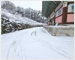  2024Ÿ55220  ν  ź 688-4      (1)